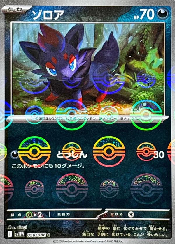 Japanese White Flare Zorua [Poke-Ball] Pokémon card